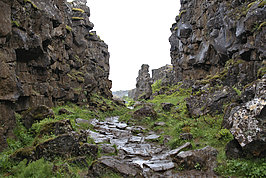 DSC02769 -1_t.jpg